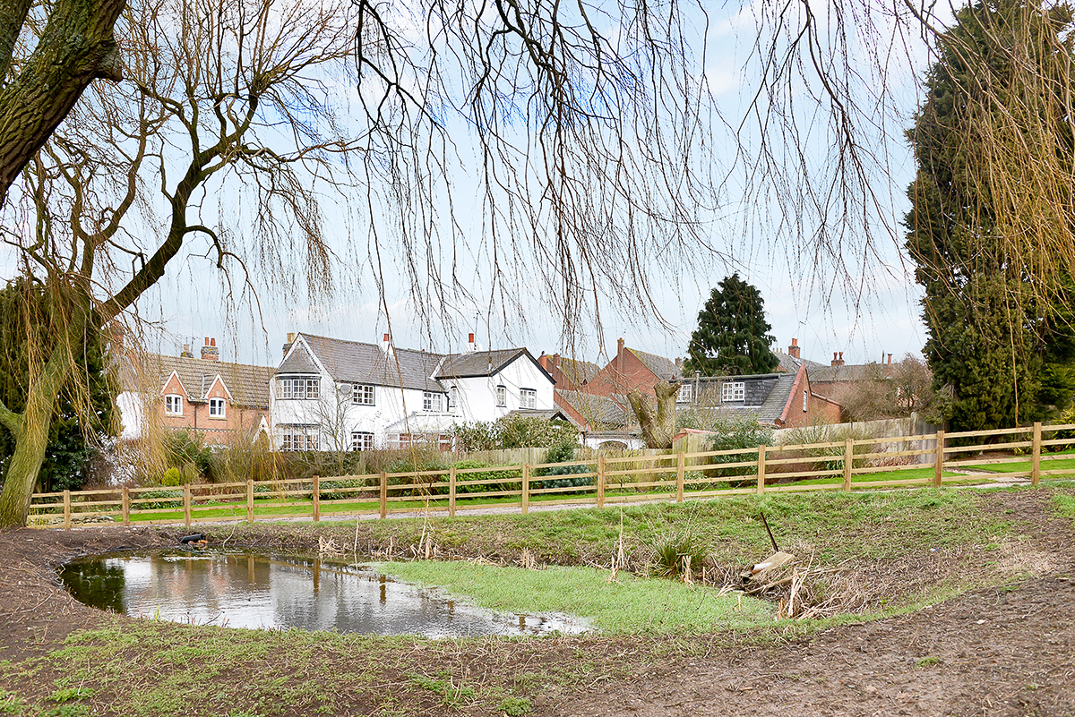 The Willows The Willows